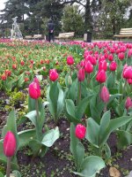 IMG_20210408_172420.jpg
