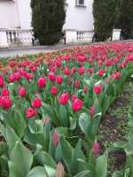 IMG_20210408_172449.jpg