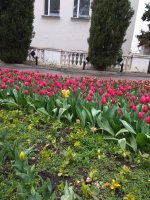 IMG_20210408_172520.jpg