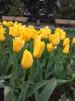 IMG_20210408_172553.jpg