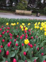 IMG_20210408_172618.jpg