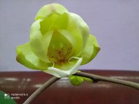 IMG_20210410_183527.jpg