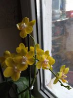 IMG_20210411_101604.jpg