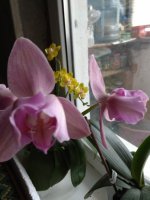 IMG_20210411_101458.jpg