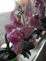 IMG_20210411_101524.jpg