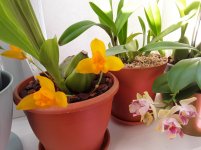 20180416_090622.jpg