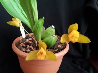 20180416_092512.jpg