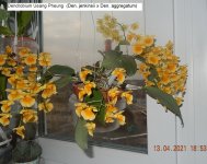 DSCN8036.JPG