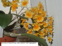 DSCN8038.JPG
