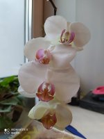 IMG_20210414_172210.jpg
