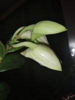 IMG_20210414_222804.jpg