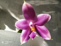 IMG_20210415_092318.jpg