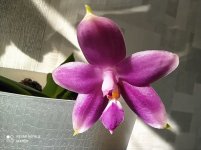 IMG_20210415_092328.jpg