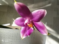 IMG_20210415_092334.jpg