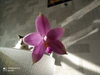IMG_20210415_092418.jpg