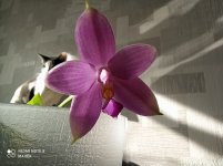 IMG_20210415_092426.jpg