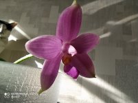 IMG_20210415_092431.jpg
