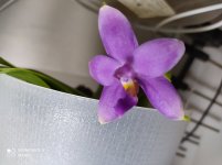 IMG_20210415_221035.jpg