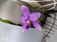 IMG_20210415_221045.jpg
