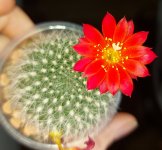 20210417_110535.jpg