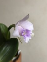 8C4BD573-87FC-4D34-BED0-1C2E85400720.jpeg