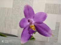 IMG_20210417_215246.jpg