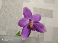 IMG_20210417_215307.jpg