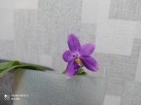 IMG_20210417_215342.jpg