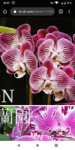 Screenshot_20201120-205758.png