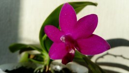 IMG_20210418_115036.jpg
