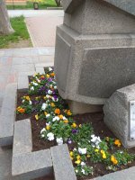 IMG_20210419_163047.jpg