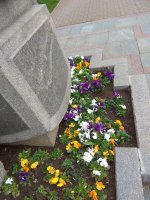 IMG_20210419_163106.jpg