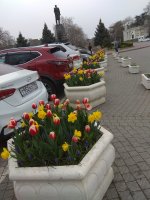 IMG_20210419_163349.jpg