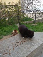 IMG_20210419_163942.jpg