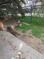 IMG_20210419_164143.jpg