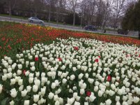 IMG_20210419_162812.jpg