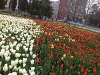 IMG_20210419_162843.jpg