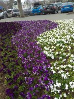 IMG_20210419_162958.jpg