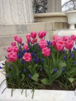 IMG_20210419_164750.jpg