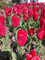IMG_20210421_143721.jpg
