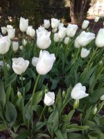 IMG_20210421_143818.jpg