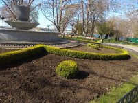 IMG_20210421_160007.jpg
