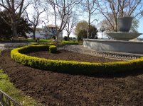 IMG_20210421_160016.jpg