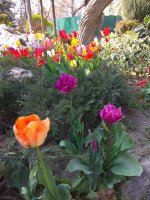 IMG_20210421_155538.jpg