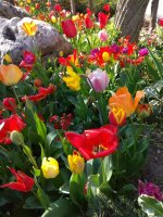 IMG_20210421_155554.jpg
