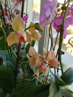 20201210_102502.jpg