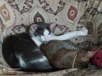 IMG_20210424_193115.jpg