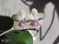 IMG_20210425_175847.jpg