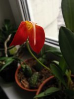 IMG_20210425_090855.jpg