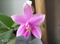 IMG_20210422_101706.jpg